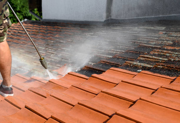 Best House Pressure Washing  in Loveland, CO